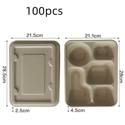 Miljövänliga matlådor i papper och sockerrör – 100-pack i flera storlekar och fack