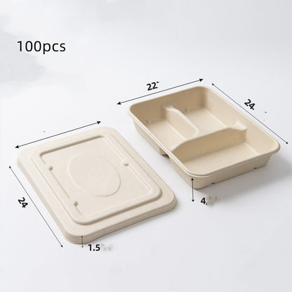 Miljövänliga matlådor i papper och sockerrör – 100-pack i flera storlekar och fack