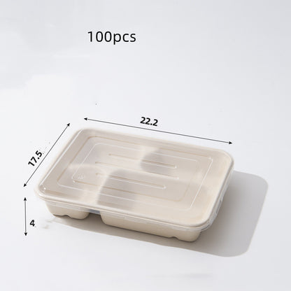 Miljövänliga matlådor i papper och sockerrör – 100-pack i flera storlekar och fack