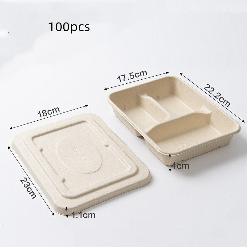Miljövänliga matlådor i papper och sockerrör – 100-pack i flera storlekar och fack