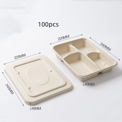 Miljövänliga matlådor i papper och sockerrör – 100-pack i flera storlekar och fack