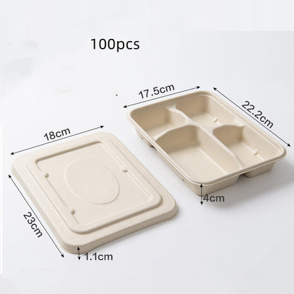 Miljövänliga matlådor i papper och sockerrör – 100-pack i flera storlekar och fack