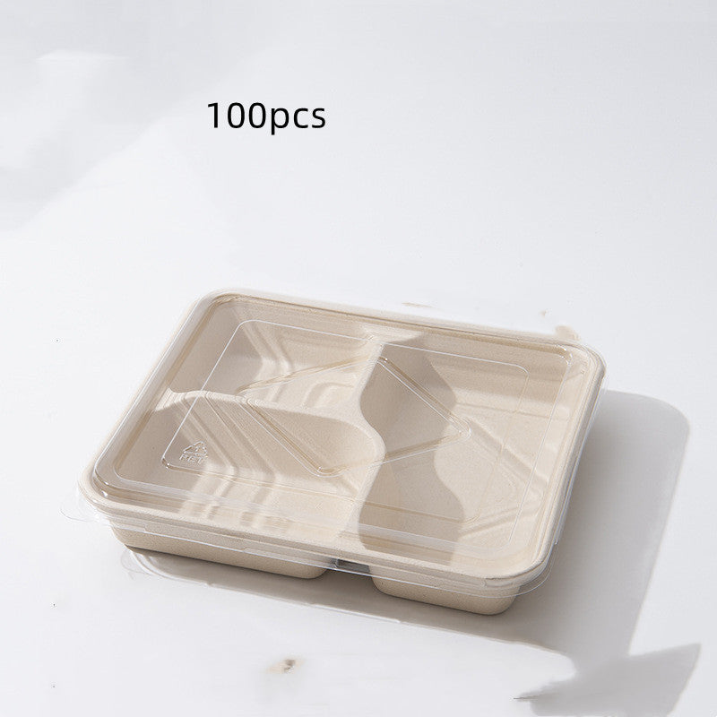 Miljövänliga matlådor i papper och sockerrör – 100-pack i flera storlekar och fack